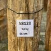 Grafsteen versteend hout 58120