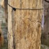 Grafsteen versteend hout 58120