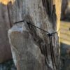 Grafsteen versteend hout 58122