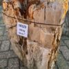 Grafsteen versteend hout 58123