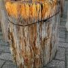 Grafsteen versteend hout 58123
