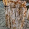 Grafsteen versteend hout 58123