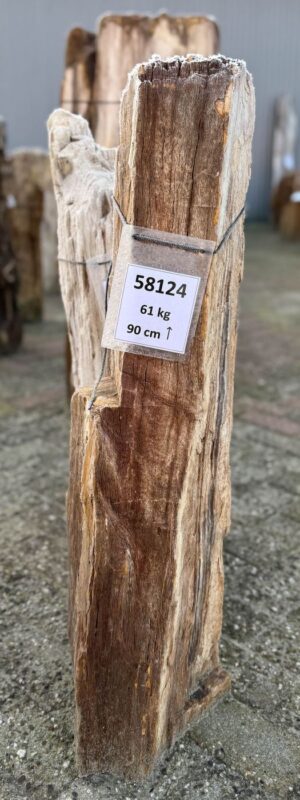 Grafsteen versteend hout 58124