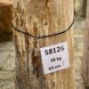 Grafsteen versteend hout 58126