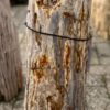 Grafsteen versteend hout 58126