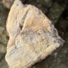 Grafsteen versteend hout 58128