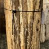 Grafsteen versteend hout 58128