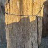 Grafsteen versteend hout 58129