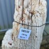 Grafsteen versteend hout 58132
