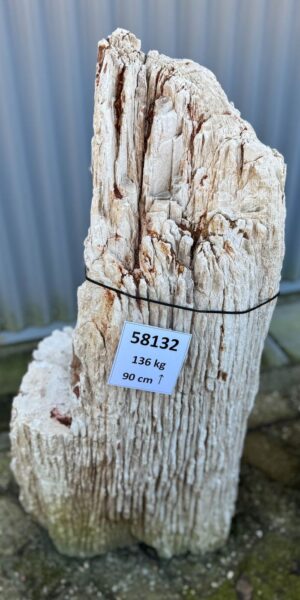 Grafsteen versteend hout 58132