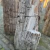 Grafsteen versteend hout 58132