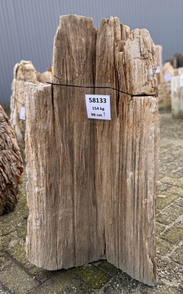 Grafsteen versteend hout 58133