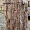 Grafsteen versteend hout 58133