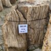 Grafsteen versteend hout 58134