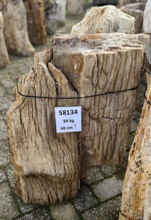 Grafsteen versteend hout 58134