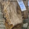 Grafsteen versteend hout 58134