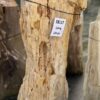 Grafsteen versteend hout 58137