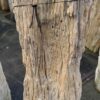 Grafsteen versteend hout 58137
