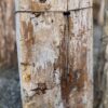 Grafsteen versteend hout 58138