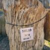 Grafsteen versteend hout 58139