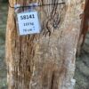 Grafsteen versteend hout 58141