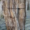 Grafsteen versteend hout 58141