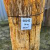 Grafsteen versteend hout 58142