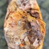 Grafsteen versteend hout 58142