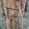 Grafsteen versteend hout 58142