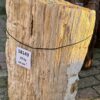 Grafsteen versteend hout 58143