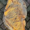 Grafsteen versteend hout 58143