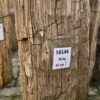 Grafsteen versteend hout 58146