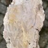 Grafsteen versteend hout 58146