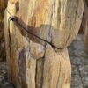 Grafsteen versteend hout 58148