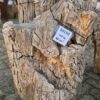 Grafsteen versteend hout 58150