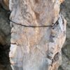 Grafsteen versteend hout 58150