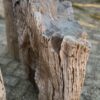 Grafsteen versteend hout 58150