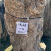 Grafsteen versteend hout 58153
