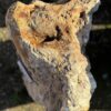 Grafsteen versteend hout 58153