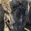 Grafsteen versteend hout 58153