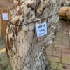 Grafsteen versteend hout 58157