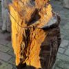 Grafsteen versteend hout 58157