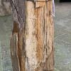 Grafsteen versteend hout 58159