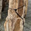 Grafsteen versteend hout 58160