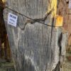 Grafsteen versteend hout 58168