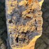 Grafsteen versteend hout 58168