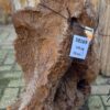 Grafsteen versteend hout 58169
