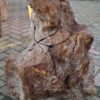 Grafsteen versteend hout 58169