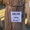 Grafsteen versteend hout 58170