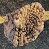 Grafsteen versteend hout 58170